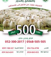 اضحية عيد الاضحى المبارك