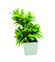 ورد مربع 9981240