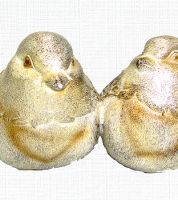 زوج عصفور  Xiamen