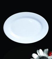 جاط بيضاوي  13