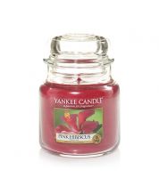 مرطبان شمع Pink Hibiscus 104غرام YANKEE