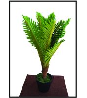 قوار رود شجرة نخلة