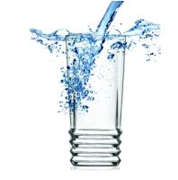 كاسات  elegant 379