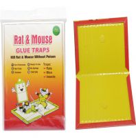 لاصق فئران دفتر 5 قطع  Mightiness Mouse Glue Traps Paper Board