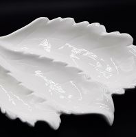 بورسلان ابيض ورقة شجرة 9169517