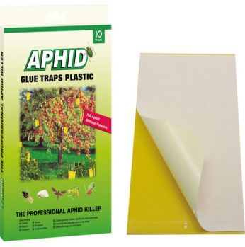 مصائد لاصقة 24*17 سم 20 شريحة Glue Traps Aphid  Plastic Board