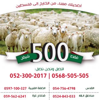 اضحية عيد الاضحى المبارك