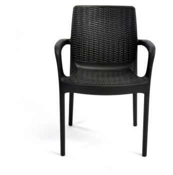 كرسي بالي Bali chairs keter