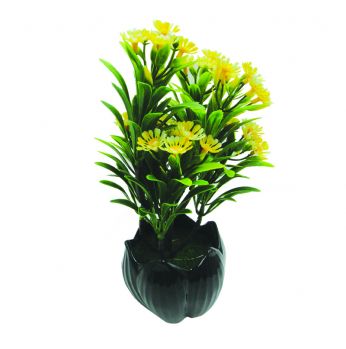 ورد  شكل  وردة 9981222