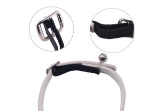 قشاط للحشرات والبراغيث والكلاب BIOLINE Flea and Tick Collar for Dogs and Cats 56 CM