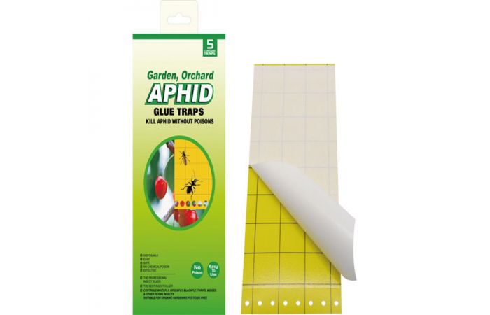  مصائد لاصقة 24*10سم 30 شريحة  Aphid Glue Traps(paper Board