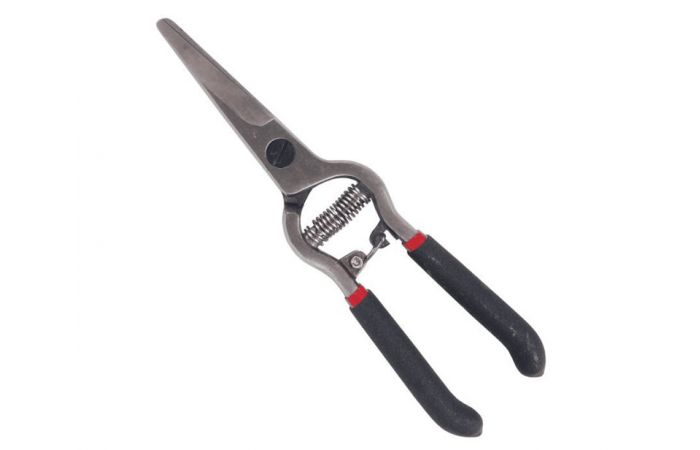 مقص تقليم بوز رفيع Pruning Shears 8″