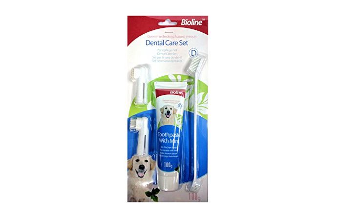 فراشي اسنان مع معجون بطعم النعنع BIOLINE Pet toothpaste kit–Mint