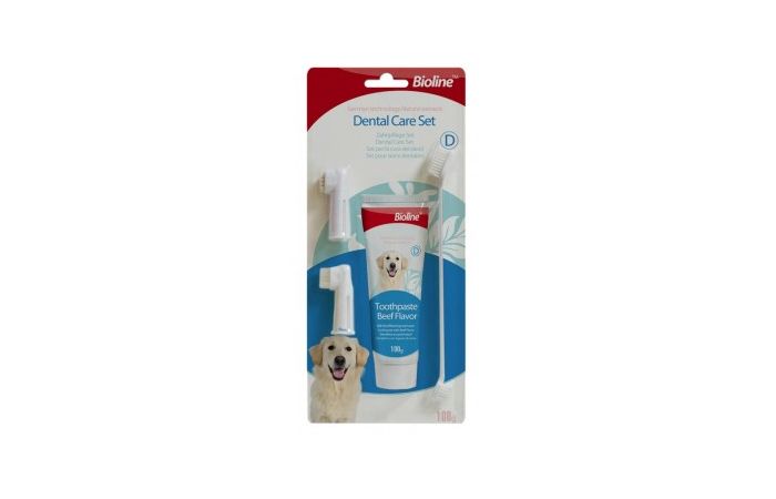فراشي اسنان مع معجون بطعم البرتقال bioline Pet toothpaste kit–Orange